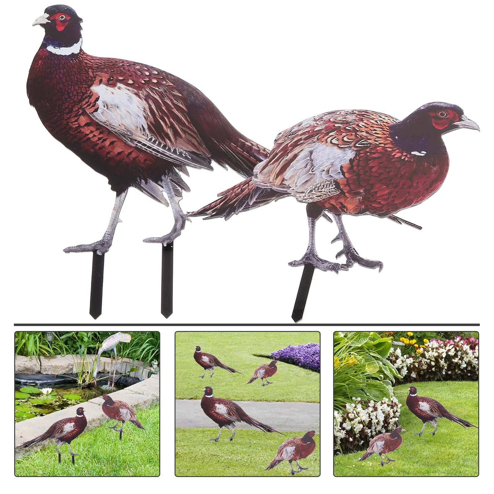 

2 Pcs Pheasant Garden Decoration Acrylic Stake Yard Sign Metal Lawn Ornament Accessory Yards Decorative Stakes