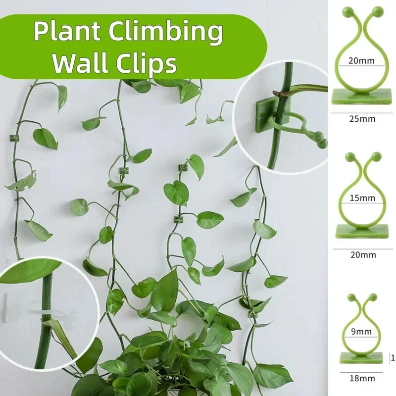 20/40Pcs Plant Climbing Wall Clips Vine Buckle Hook Rattan Clamp Fixator Self-Adhesive Plant Stent Invisible Vine Climbing Fixed