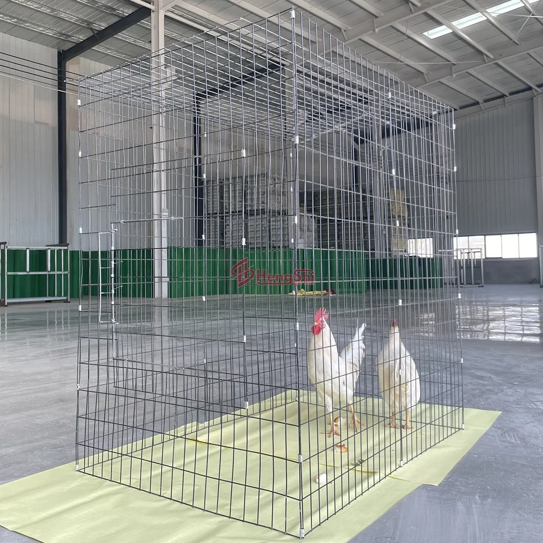 Game Fowl / Sabong / Scratchpen / Scratch Pen / Cage For Chicken Rooster 3.2MM 50x100mm 1.5m 1.5m 1.0m