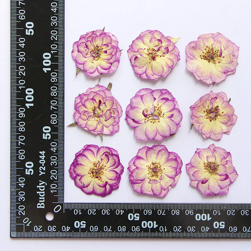 120pcs Pressed Dried Pink Rose Flower Herbarium For Resin Epoxy Jewelry Card Bookmark Frame Phone Case Makeup Lamp