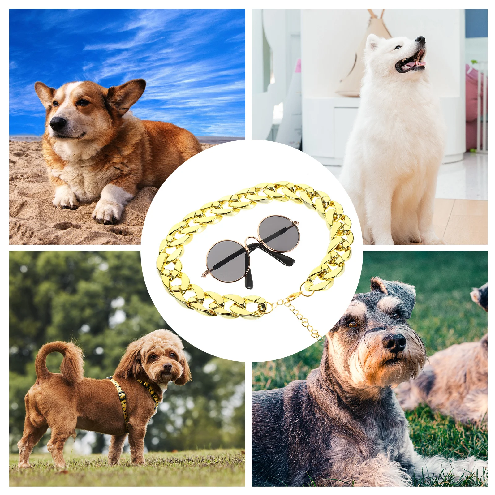 

2Pcs Fashion Pet Golden Necklace Sunglasses Durable Jewelry Perfect for Photoshoots Pet Accessory Cat Necklace