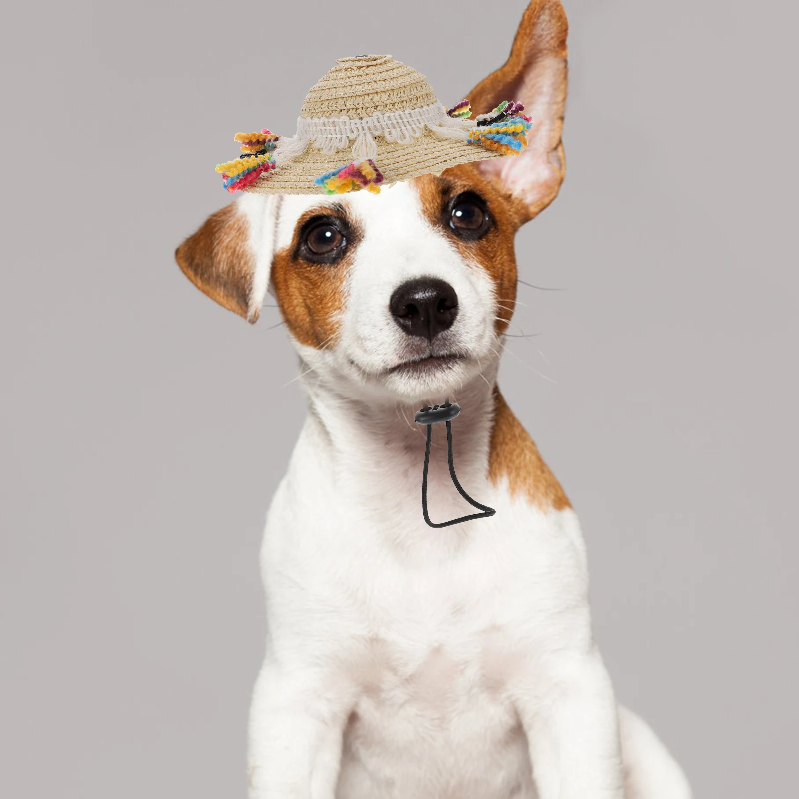 

Stylish Pet Tassel Straw Hat Adjustable Dog Sombrero Decorative Cat Hat Party Costume Lightweight Comfortable Dog Hats