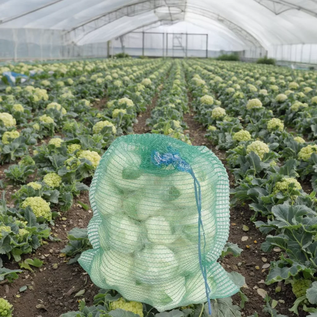 

2025China Factory Wholesale 25kg 50kg Date Palm Harvest HDPE Bag Fruit Packaging for Agriculture Griping Mesh Bag