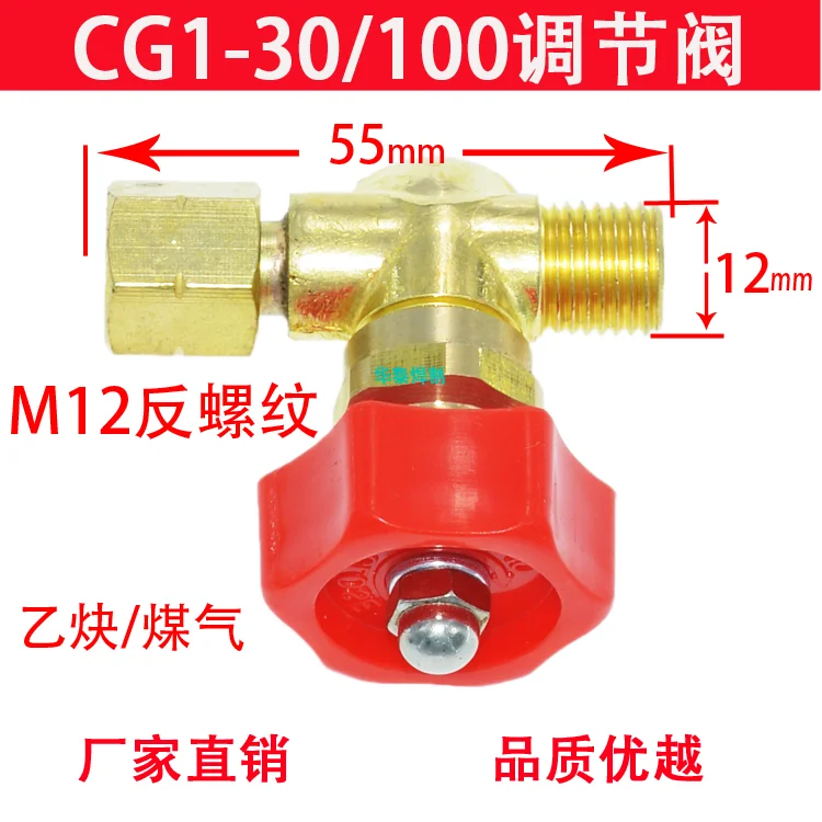 Gas Valve Fit CG1-30 CG30 G02 G03 ANME Acetylene PNME Propane Flame Cutting Machine Cutter Hose Torch Part