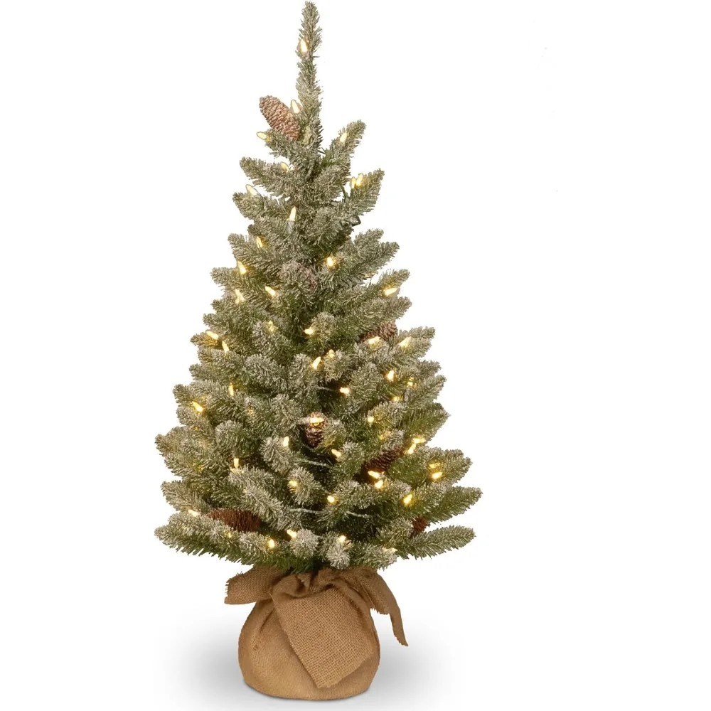 

Pre-lit Artificial Mini Christmas Tree | Includes Small White LED Lights and Cloth Bag Base | Snowy Concolor Fir Burlap - 3 ft