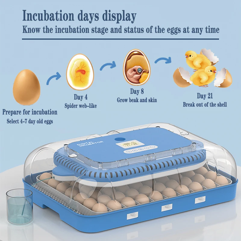 حاضنة البيض 70 قطعة حاضنة ذكية أوتوماتيكية بالكامل