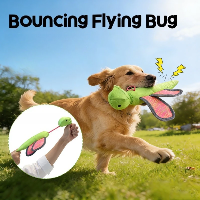 Interactieve piepende vliegend - Flying Disc Dog Training Toy recensie en prijs