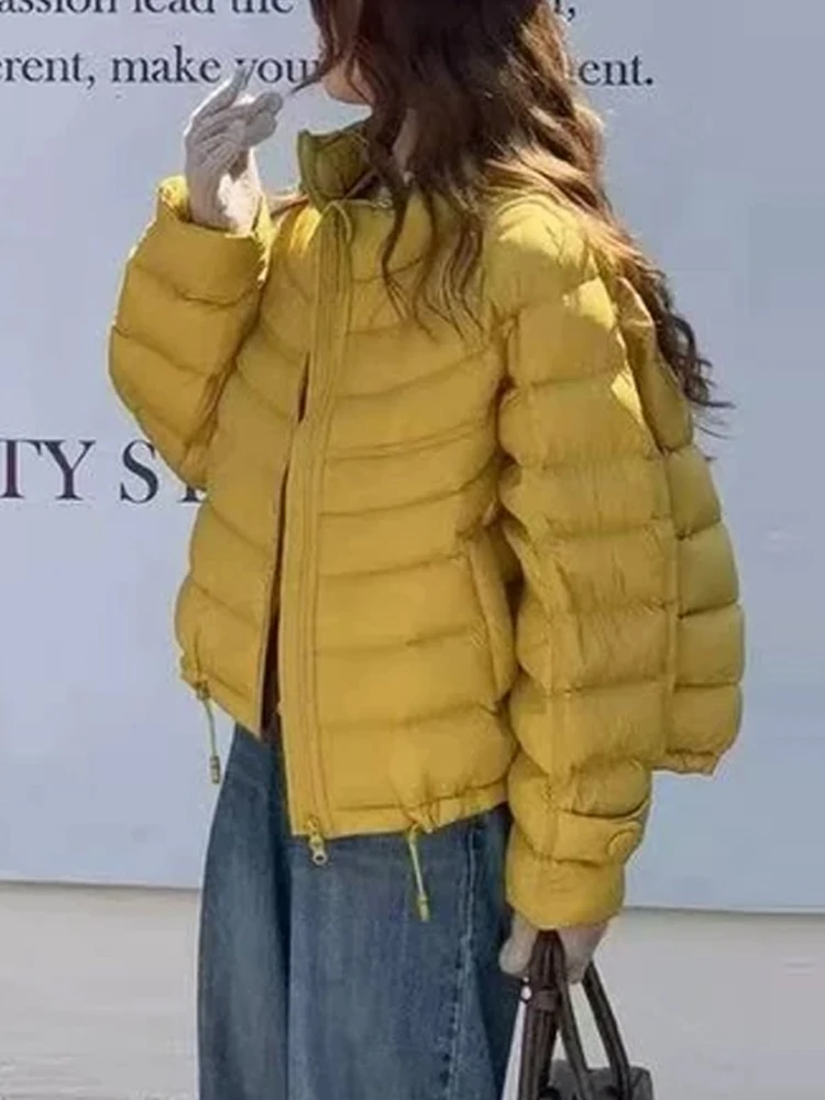 

Утепленная женская повседневная куртка на хлопковом пуху с воротником-стойкой на молнии для зимнего сезона