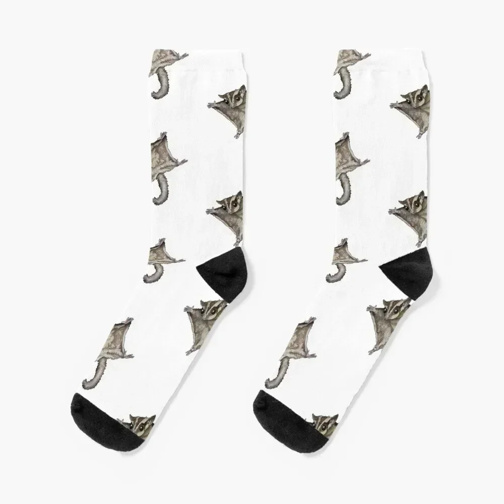 

Flying Sugar Glider Socks moving stockings sports stockings Socks Women's Men's