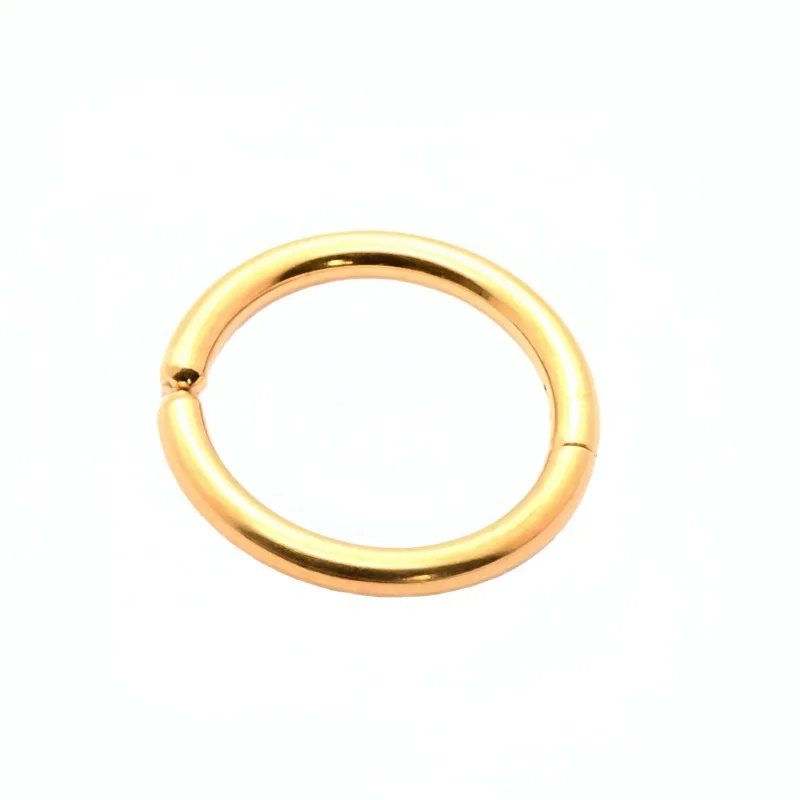 Thick 2.5MM Stainless Steel Round Men Women Hoop Clip Earrings New Style IP Plating No Easy Fade Allergy Free
