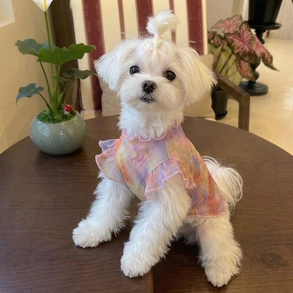 Pet Bichon Summer Overclothes Breathable Mesh Dog Vest Anti Shedding Fur Teddy Short Shirt Cute Cat Plaid T-shir
