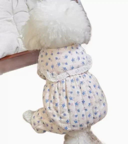 Autumn and Winter Pet Floral Jumpsuit Cute Pumpkin Pants Little Dog Teddy Bear Winter Outfit with Floral Four Legs Puppy Clothes
