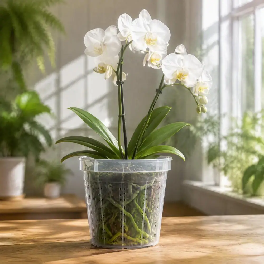 Plastic Orchid Pots Root Control Planters Plastic Orchid Planter with Drainage Holes Breathable Slotted Indoor for Succulents
