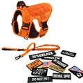 Dog Vest Set2