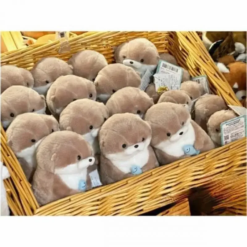 11cm Kawaii Otters ถือปลาตุ๊กตา Plush Keyrings น้ําหนักเบาแขวนจี้ Props สําหรับกระเป๋ากระเป๋าสตางค์ตุ๊กตาของเล่นของขวัญ