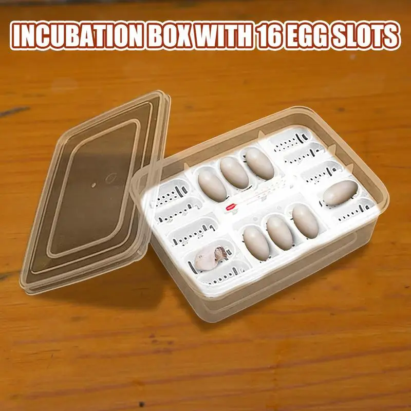 Reptile Egg Incubator Box DIY 16 Grids Transparent Hatch Box Snake Lizard Hatching Box Egg Tray Crawler Gecko Reptile Accessory