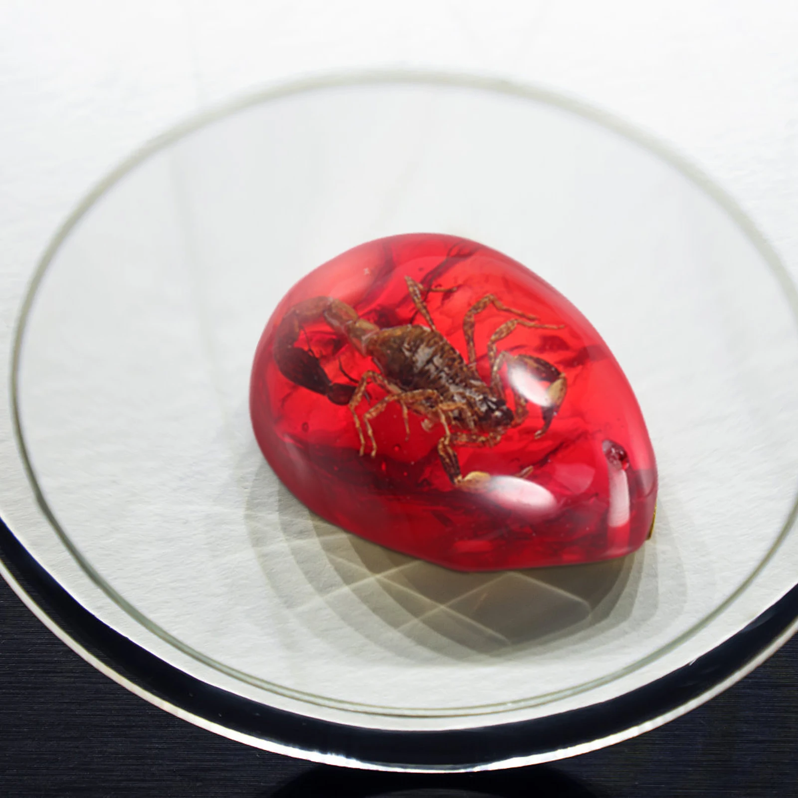 

Resin Amber Specimen Pendants Lightweight Portable Scorpion Shaped Charms Necklace Crafts Stylish Creative Design Non Damaging