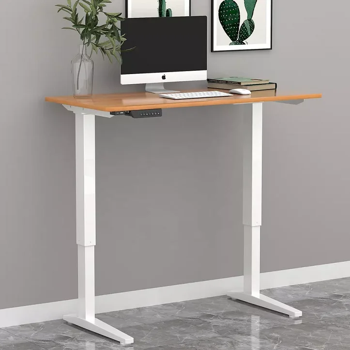 Ergonomic Modern Office Computer Table Standing Desk Double Motor Standing Desk Electric Height Adjustable Workstation Desk