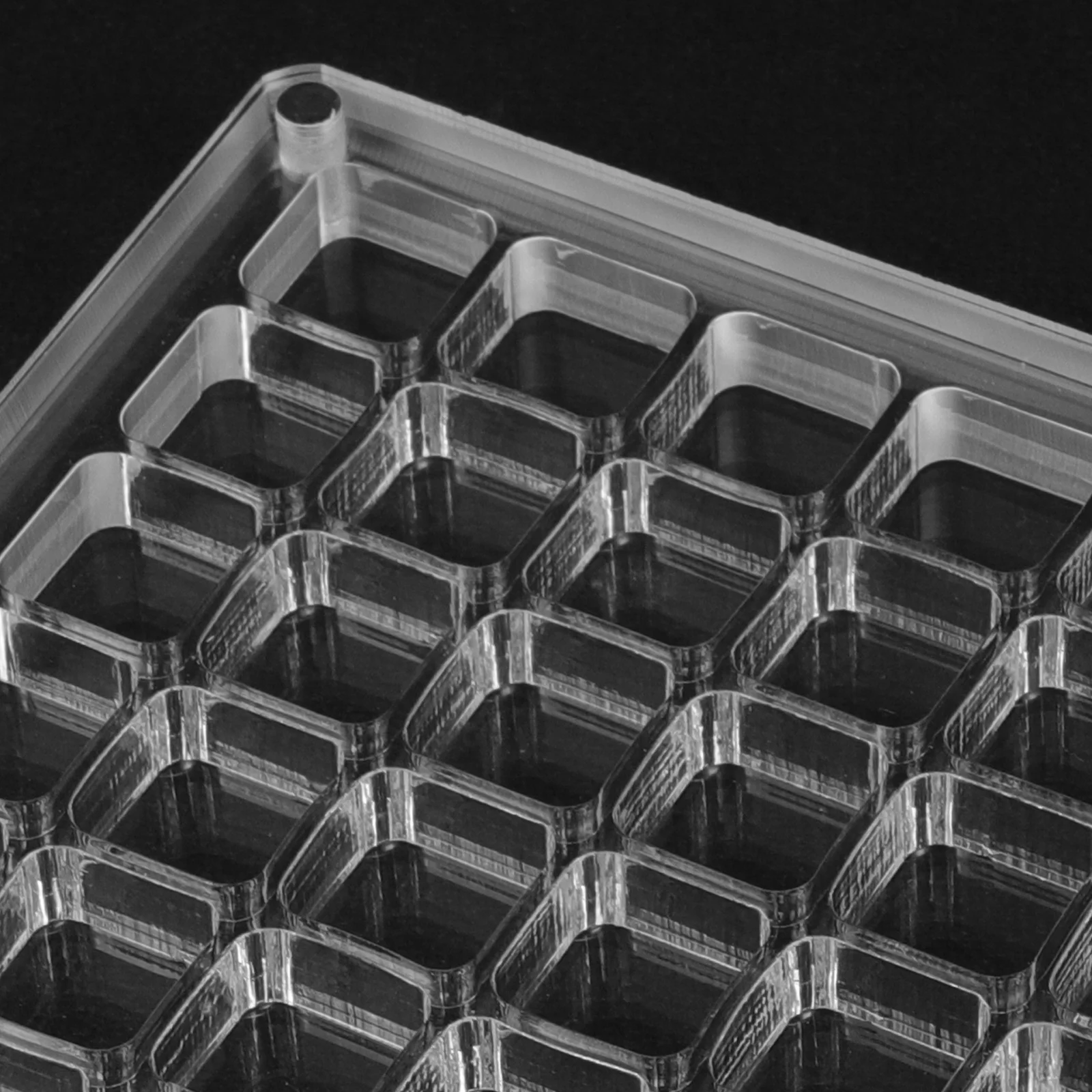 

Multi-Grid Seashell Display Box Acrylic 36 Holes Transparent Organizer Frame Mini Storage Case for Jewelry Craft
