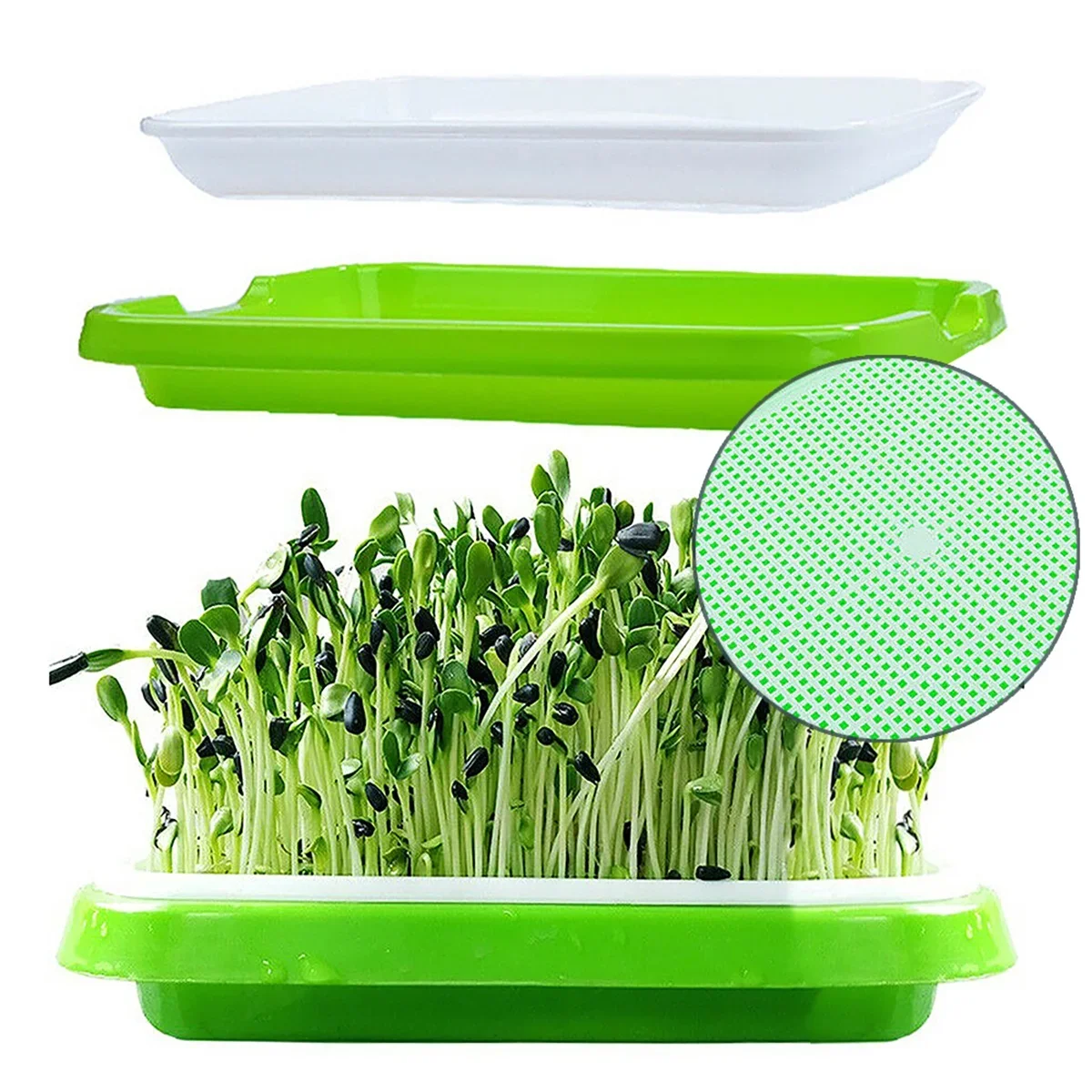 1PC Seed Sprouter Tray  Wheatgrass Sprouting Pot Planter Soilless Bean Culture Hydroponic Nursery Plate Cat Grass Bonsai Seeds