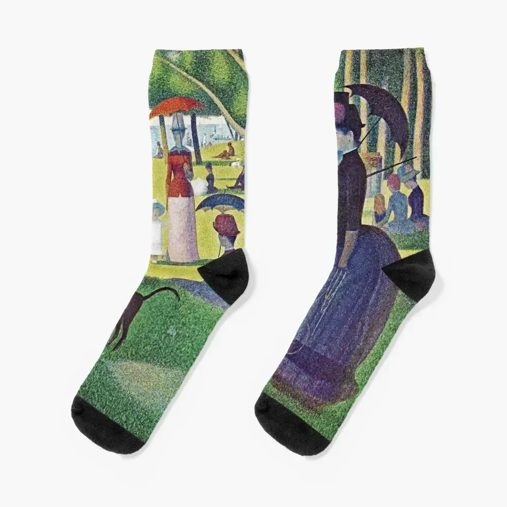 

Seurat's "A Sunday Afternoon on La Grande Jatte" - Fine Art Pointillism Socks floral tennis Socks Women Men's