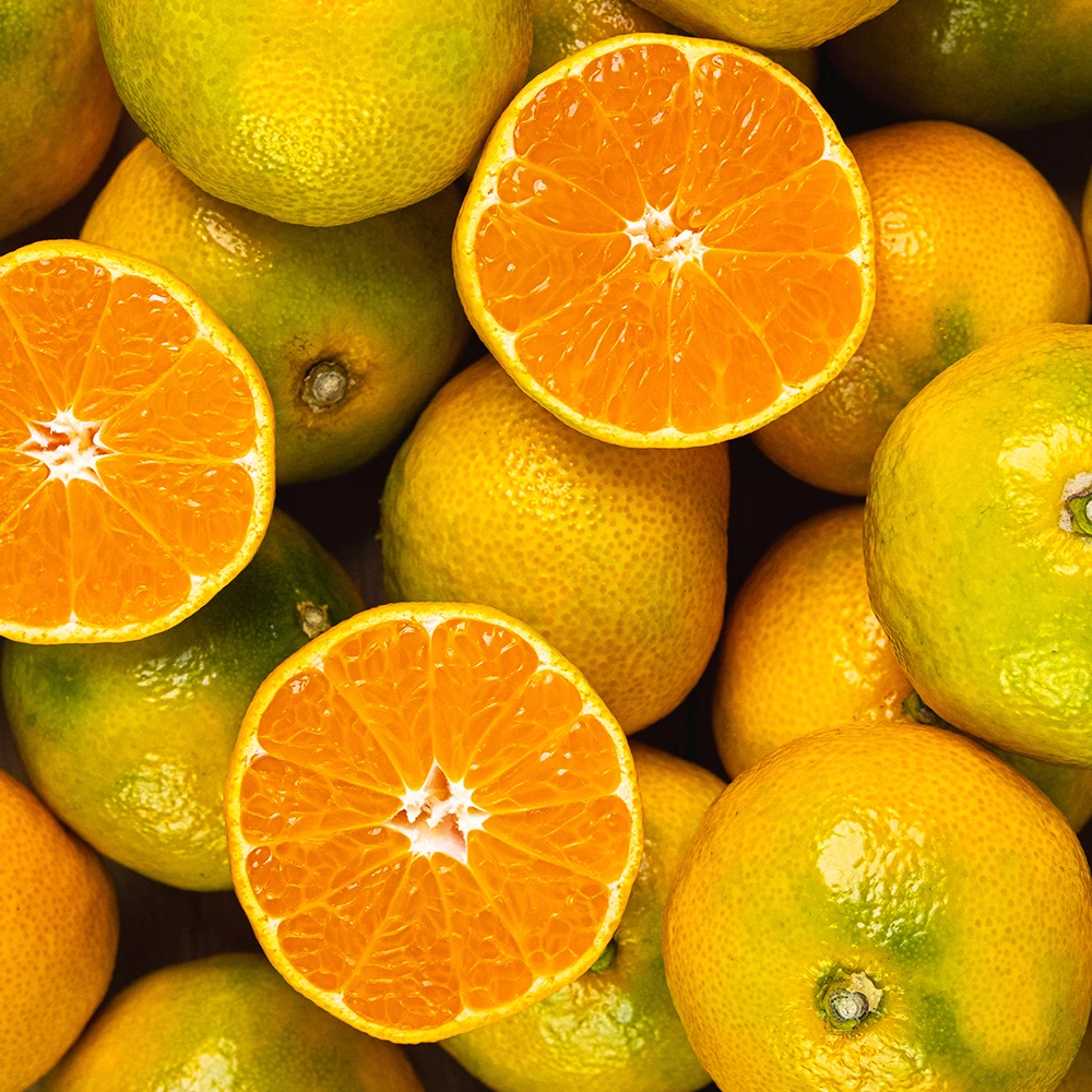 سانجي بلس جيجو اليوسفي المفتوحة الميدانية فواكه الحمضيات المفتوحة 3 كجم 5 كجم 10 كجم #3