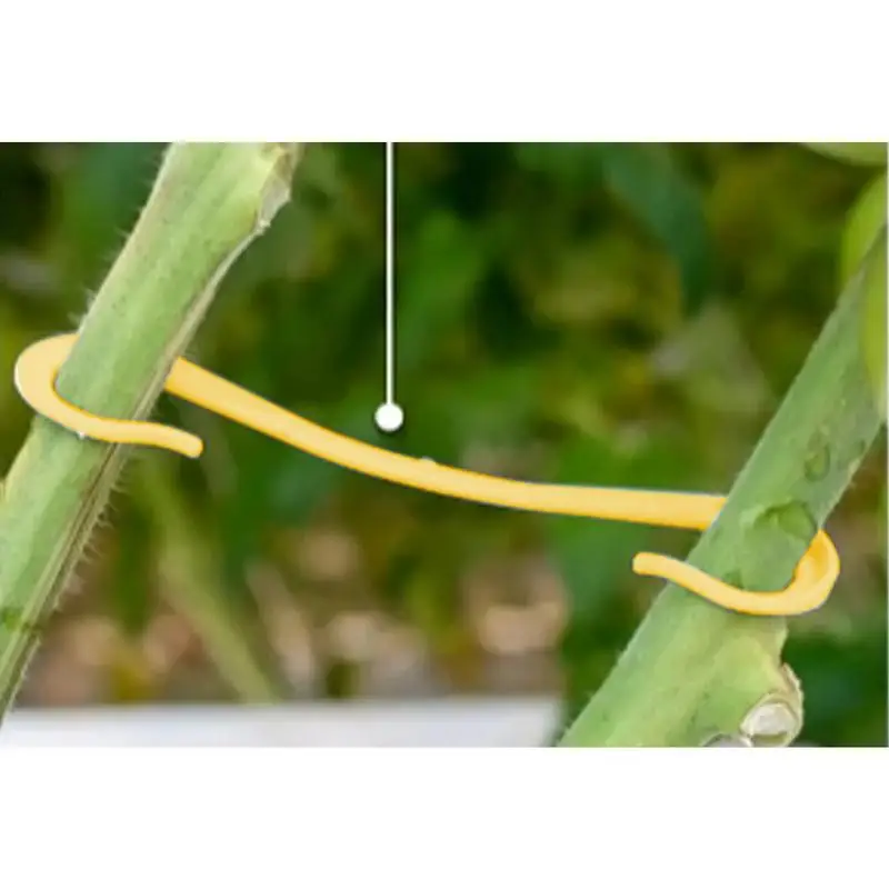 Plant Support Structures Cucumber Hooks Set Of 50 Metal Garden Turtle Shell Leaf Plant Support Stabilizer For Cucumber Grape