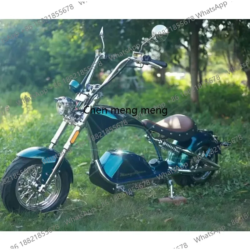 Warehouse  3000W 30ah Fat Tire Electric  Removable Battery Electronic Unisex