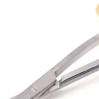 S Type Dental Surgical Scissors Stainless Steel High Precision For Ophthalmic And Medical Dissection Use