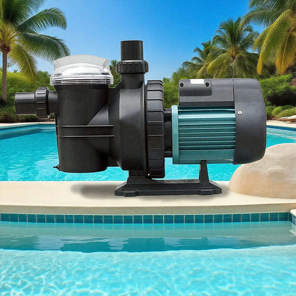 High-Pressure 1HP 2HP Electric Brushless Steel Swimming Pool Pump Stainless Steel Water Heater Hot Filter Circulation Gear OEM
