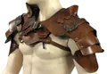 BN  shoulder plate