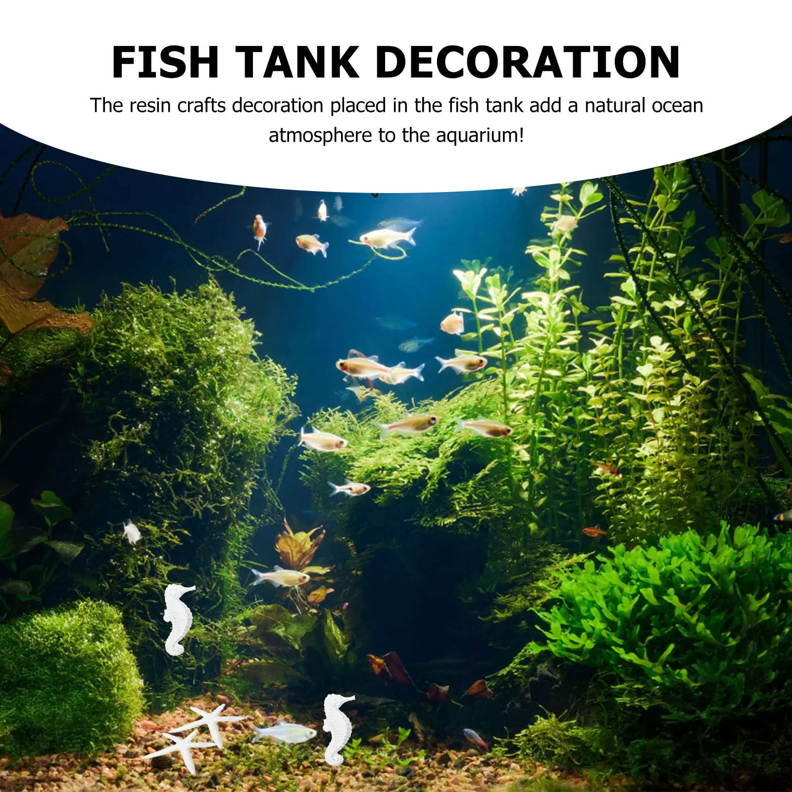 

25Pcs Fish Tank Decoration Resin Sea Star Hippocampus Crafts Durable Aquarium Ornament Safe Natural Ocean Landscape Supplies