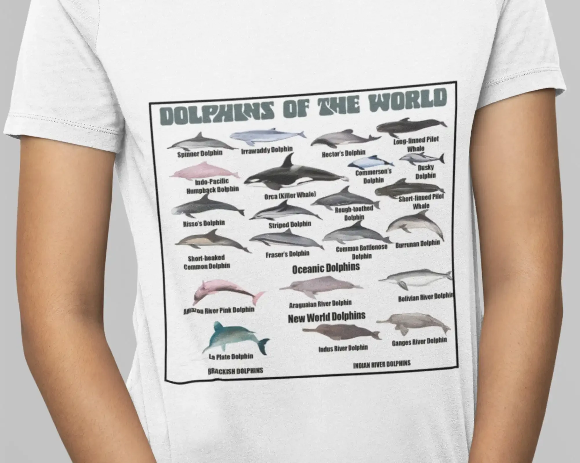 Dolphins T Shirt Heavy Cotton Marine life Orca conservation education tee of the world top cool gift