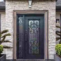 Customized Door DepositEntrance Elegant Steel Fire Patio Doors Flat Double Or Single With Sidelights For Home Window 4