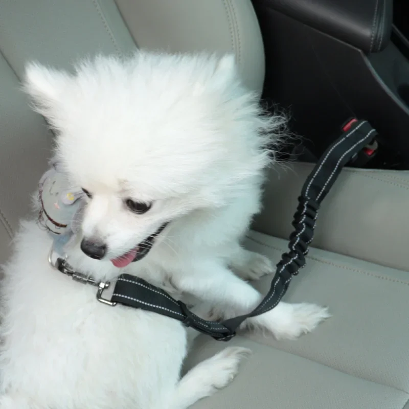 Reflective Dog Seat Belt - Adjustable and Durable Nylon Harness with Bungee Fabric Belt for Safe and Secure Car Travel