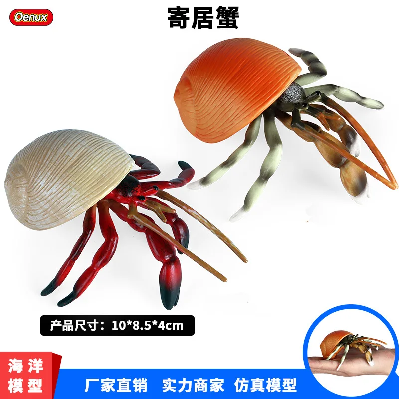 Children's simulation marine animals, hermit crabs, crabs, solid underwater creatures, models, plastic toys, figurines