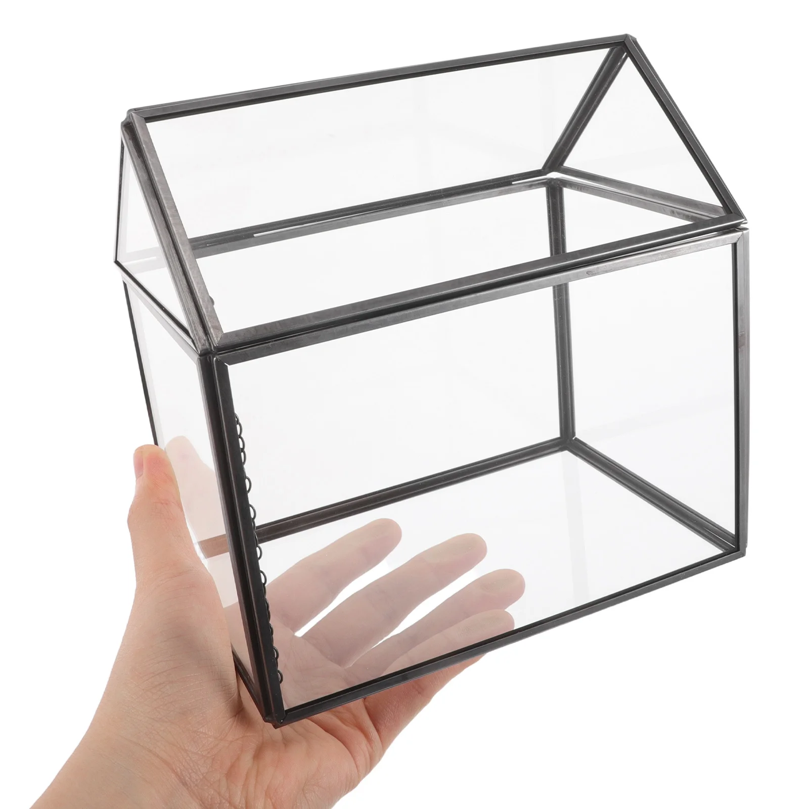 

Handmade Glass Planter Terrarium Lid Indoor Tabletop Greenhouse Miniature Shape Plant Container Succulent Cacti Display