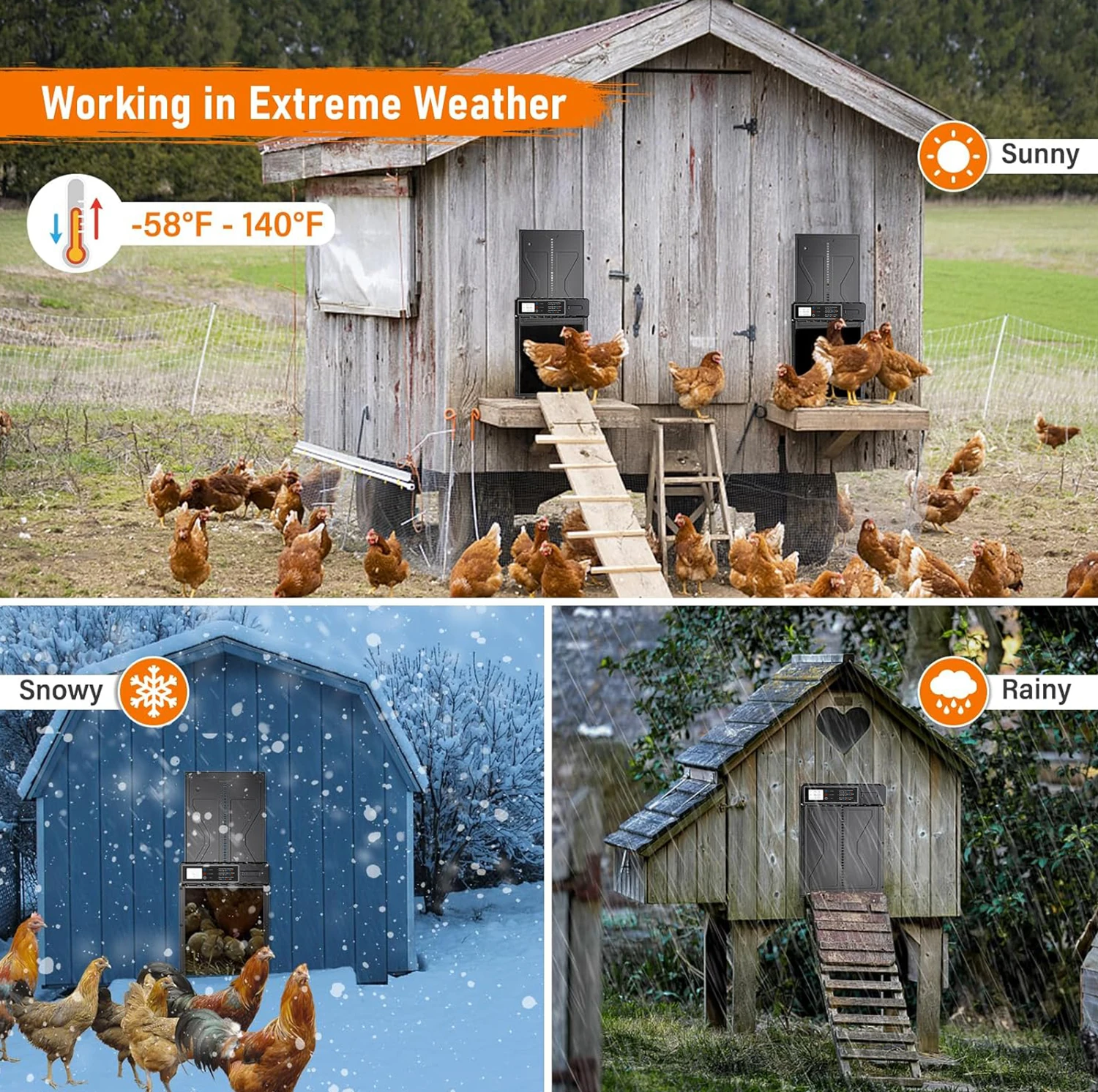 自動鶏小屋ドア、アヒル小屋ドア、LCDスクリーンタイミング機能付き大型自動鶏小屋ドア