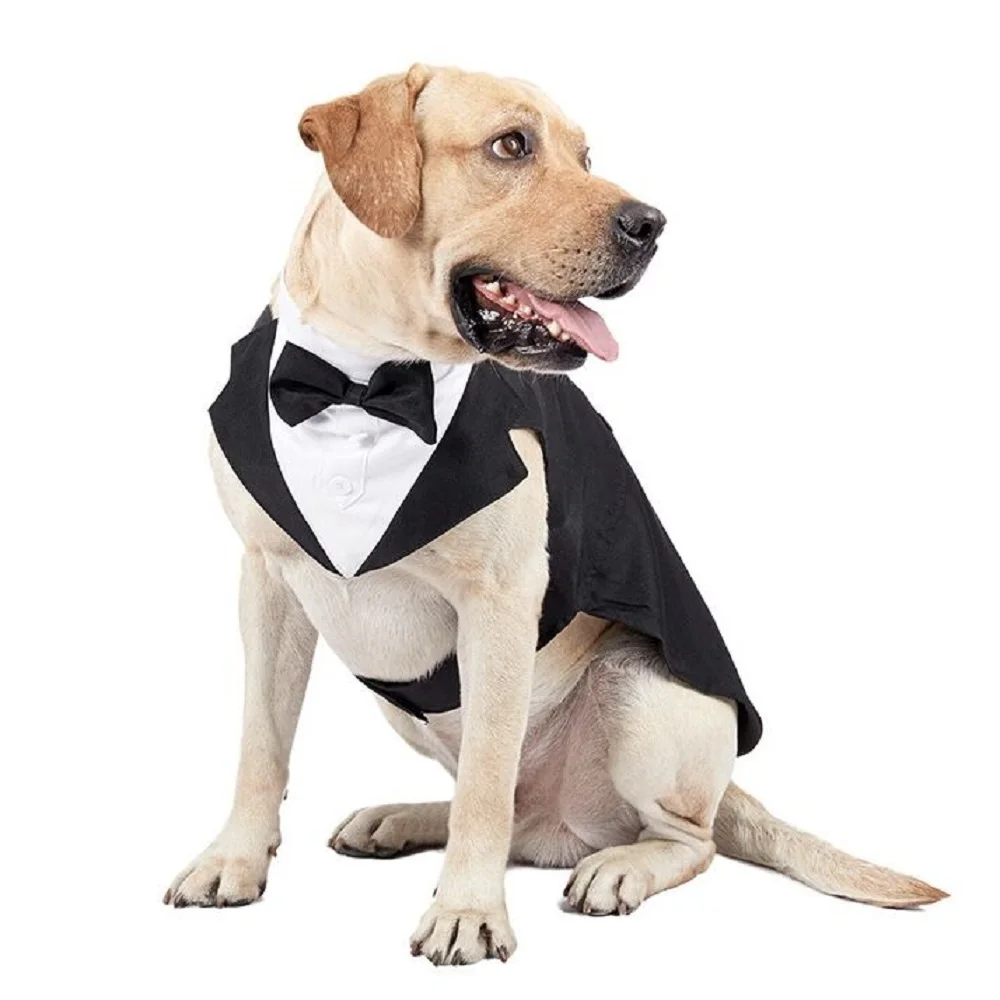 Dog\'s Formal Wedding Black Shirt Tailcoats for Medium Large Dogs Fashion Suit for Party Cosplay Golden Retriever Bulldog Samoyed