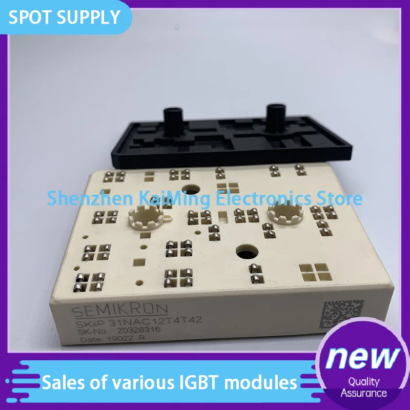 

NEW IGBT MODULE SKiiP31NAC12T4T42 SKIIP32NAB12T45 SKIIP31NAC12T2 SKIIP30NAC12T2 SKIIP32NAC12T42 SKIIP31NAB12T49 SKIIP32NAB12T7