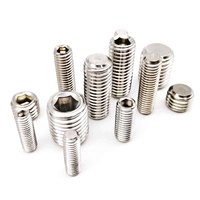 M2 M2.5 M3 M4 M5 M6 M8 DIN913 304 Stainless Steel Allen Head Hex Hexagon Socket Flat Point End Grub Bolt Set Screw