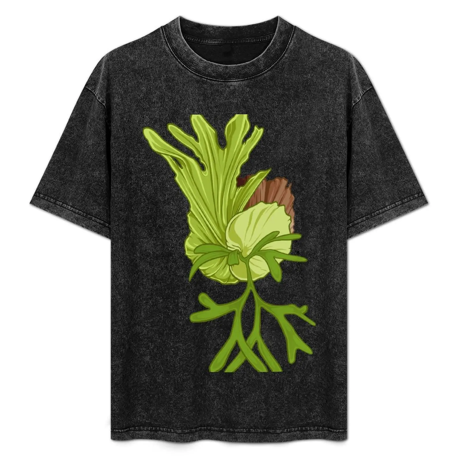 Ilustración de helecho de cuerno de ciervo - Platycerium coronarium - Camiseta de talla grande para uso diario