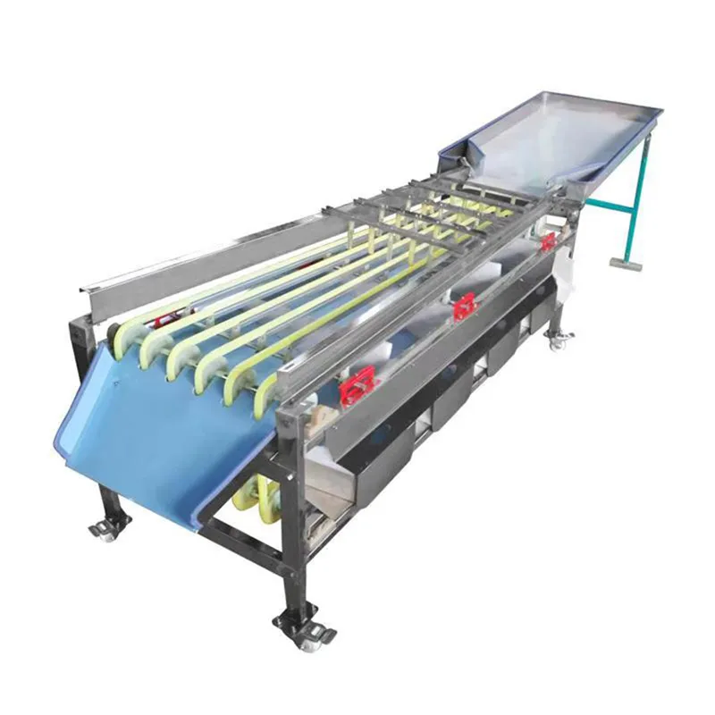 

Factory Price Automatic Fruit Vegetable Sorting Olive Apple Orange Onion Tomato Orange Avocado Potato Sorting Machine