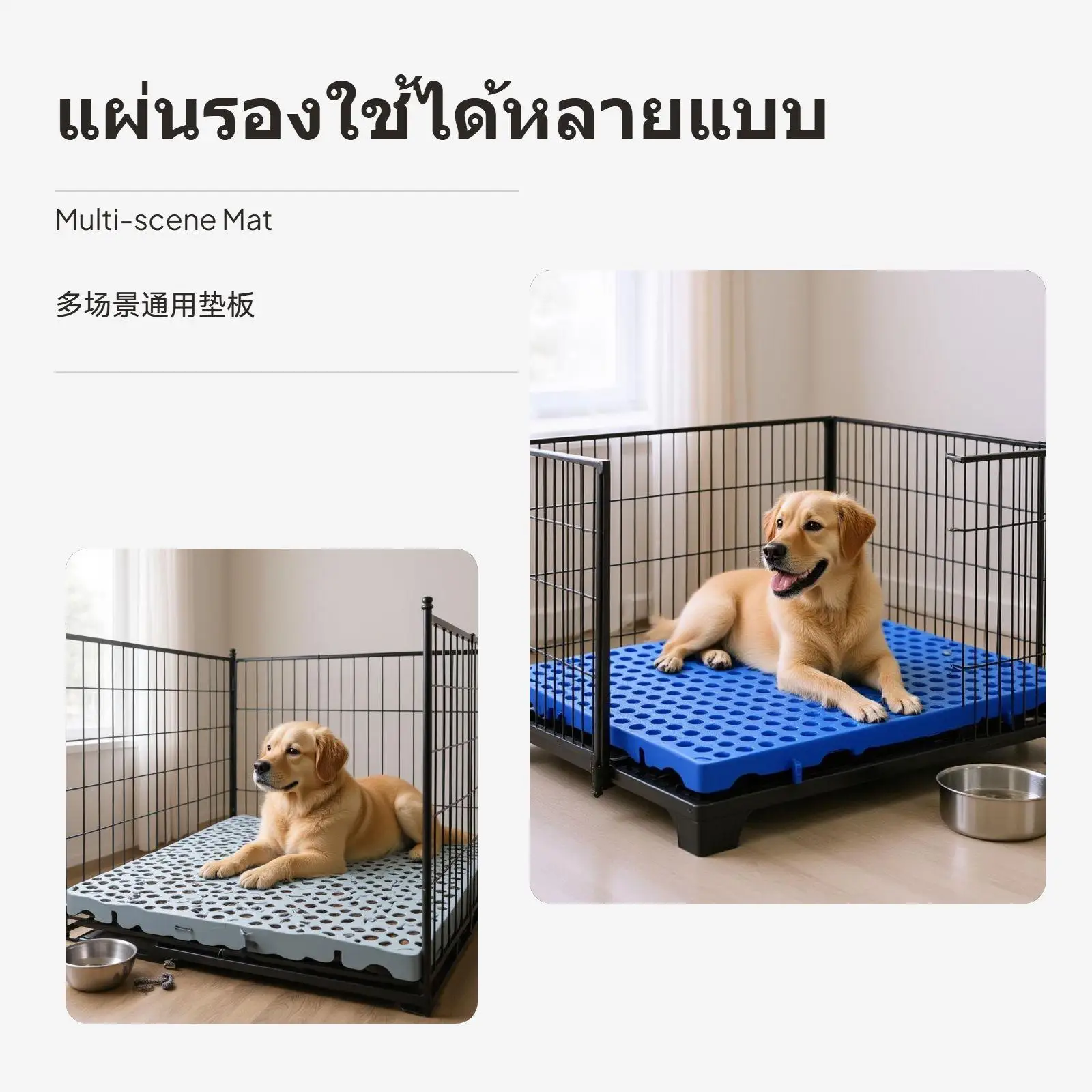 No image