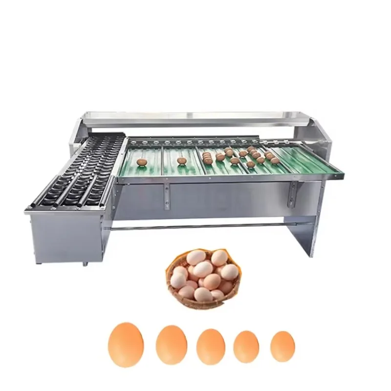 Egg Duck Grading Machine Multifunctional Sorter 5400 Eggs/H Stainless Steel Weight Classifier for Farm Custom
