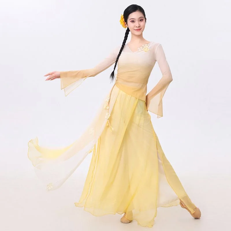 Classical Dance Costume Fairy Floral Gradual Mesh Suit Daily Practice Pants Loose Flowing Gauze Chinese Dance Performance Stage