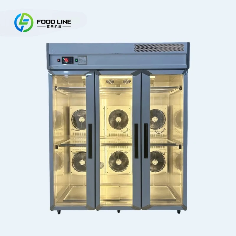 

Customized Smart Commercial Duck Marinating Cabinet Thawing Air Drying Dehumidifying Stainless Steel Professional Drying Cabinet