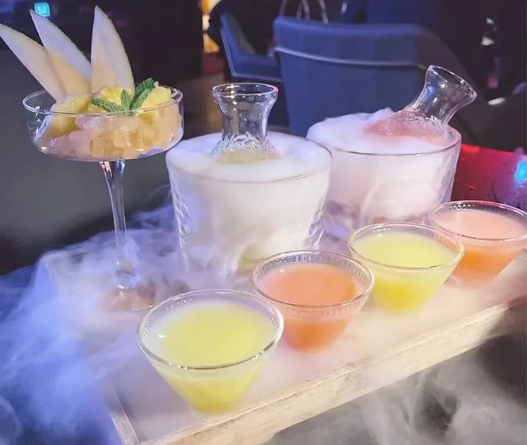 ポータブルミニドライアイス製造機 食品グレードドライCO2ブロックマシン バー・レストラン用