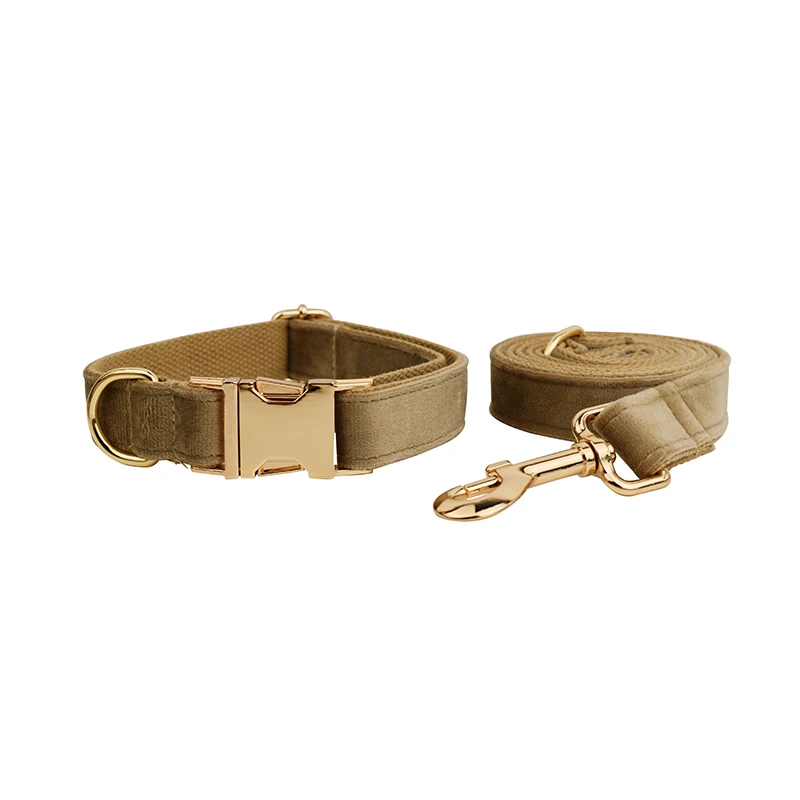 Ensemble collier et laisse en velours pour chien avec plaque_voghion.com
