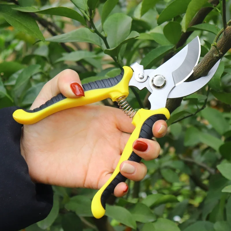 Stainless Steel Pruning Shears Heavy Duty Garden Scissors for Branches Plant Trimming Sharp Blade Gardening Tools